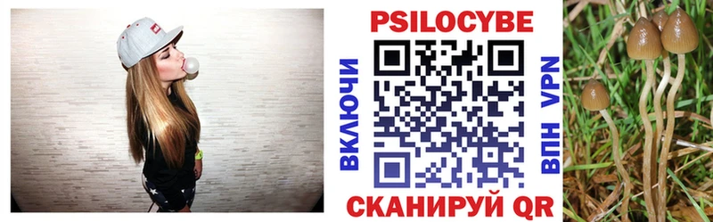 Галлюциногенные грибы мицелий  Купить закладки  Советская Гавань 
